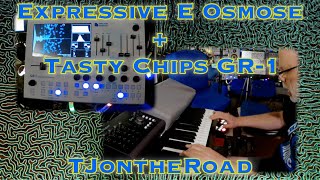 Expressive E Osmose  Tasty Chips GR1 MPE Demo [upl. by Sevik]