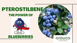 Pterostilbene A quick overview of this amazing phytochemical [upl. by Ayotahs]