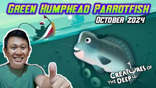 DISINI Spot Sengaja Mencari Green Humphead Parrotfish❗Creatures of the Deep Fishing [upl. by Drescher]