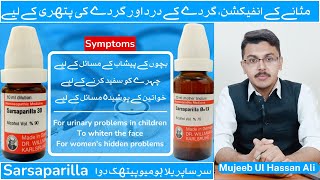 Sarsaparilla Homoeopathic Medicine  Benefits Uses amp Dose [upl. by Niveek836]