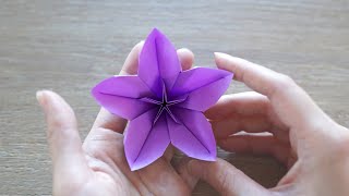 Easy Origami Flower  Cherry Blossom [upl. by Barra]