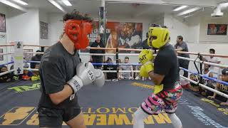 Floyd Mayweather Vs Jarvis Sparring 2023 Full HD [upl. by Scoles253]