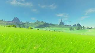 Breath of The Wild Ambiance Hyrule Field Grass [upl. by Aehtela]