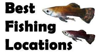 Skyrim best fishing locations All Fish Guide Part One [upl. by Eilac]