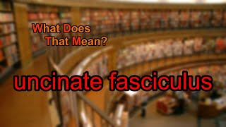 What does uncinate fasciculus mean [upl. by Karin]