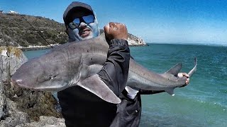 Ep 30  Langebaan Lagoon Sharks  Baits and Traces [upl. by Mauretta]