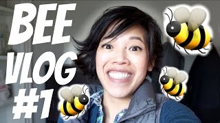 BEE VLOG 1  setting up frames amp hive making syrup [upl. by Absalom]