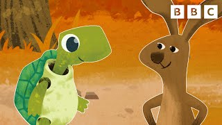 Hare and Tortoise Story with Musical Storyland  CBeebies [upl. by Nodnab617]