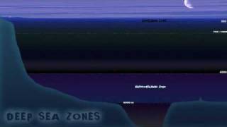 Deep Sea Terrain [upl. by Erdne]