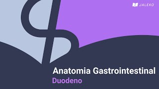 Anatomia gastrointestinal  Duodeno [upl. by Eicart]