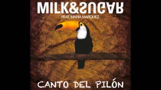 Milk amp Sugar  Canto Del Pilon Strong R Remix [upl. by Chard116]