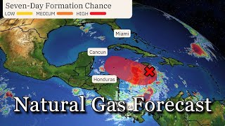 November 13 Natural Gas Analysis and Forecast [upl. by Cyma]