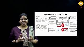 Gene Editing by Zinc Finger Nucleases  L2  Prof Suparna Deepak  PCACS [upl. by Ellesirg590]