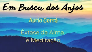 EM BUSCA DOS ANJOS  Cura da Alma Sintonia dos Anjos Proteção Energética Antidepressiva insônia [upl. by Euqinim]