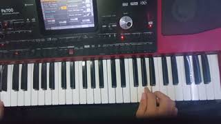 Tutorial Horă Ionica Minune Sol major Cover [upl. by Ileak]