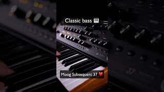 Classic bass sound with Moog Subsequent 37 🎹 ❤️ [upl. by Treborsemaj]