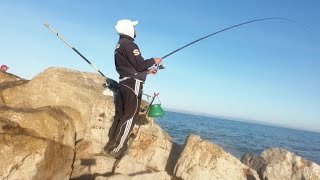 mormore giganti a bigattino pesca a bolognese [upl. by Oahc]