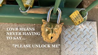 Love on The Lock Bridge in Alpine Helen Georgia [upl. by Nylirrehs146]