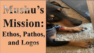 Ethos Pathos Logos Building Blocks for Persuasive Advocacy [upl. by Onahpets]