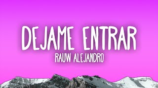 Rauw Alejandro  Dejame Entrar [upl. by Elenahc]