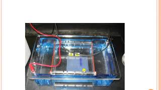 Serum protein electrophoresis [upl. by Heilman334]