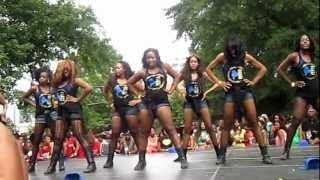 Sigma Gamma Rho Atlanta Greek Picnic 2012 [upl. by Karen]