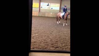 FEI Dressage Pony for sale Djamila [upl. by Ammamaria]