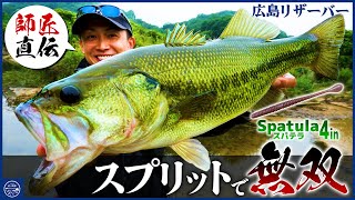 【バス釣り】リザーバーで無双！師匠直伝スパテラ4in×スプリットで釣りまくる！【釣り時季】 [upl. by Betsy]