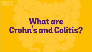 What are Crohns and Colitis [upl. by Amalee]