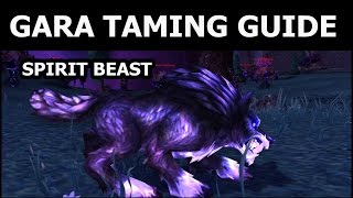 How to Tame Gara the Spirit Beast in WoW Rare World of Warcraft Hunter Pets [upl. by Tera]