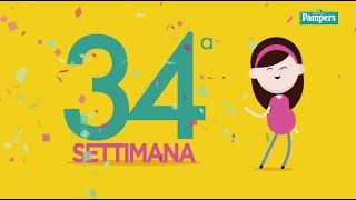 34° settimana di gravidanza [upl. by Noiztneb]