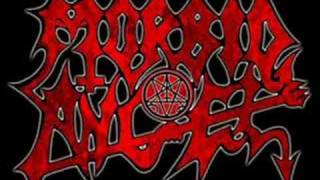 Morbid Angel  Place of Many Deaths Demo Version [upl. by Dnob]