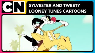 Sylvester and Tweety  Looney Tunes Cartoons  Cartoon Network Asia [upl. by Aihsenod120]