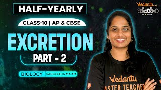 Excretion Part 2  HalfYearly  SA1  Class 10 in Telugu  AP State Board amp CBSE  Sangeetha Maam [upl. by Suivatal]