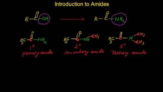 Introduction to Amides  Primary Secondary and Tertiary Amides [upl. by Hilario298]