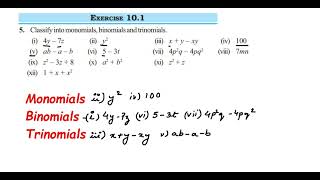 5q Ex 101 Algebraic expressions class 7 mathsClassify into monomials binomials and trinomials [upl. by Aiekahs]