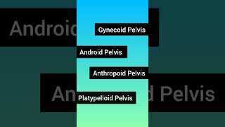 Types of Pelvis l Pelvis Types l Female Pelvis pelvistypesofpelvisobgynmedicalnorcetnursing [upl. by Jessalyn]