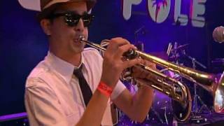 DINAMO Latin SKA  TODO NO SE PUEDE Live in Belgium [upl. by Dranyl]