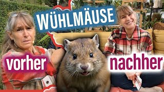 BlumenDEKO Herbst 🌹 Wühlmäuse im Garten 🐀  5 einmalblühende Rambler WURZELNACKT [upl. by Bela]