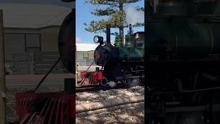 Semaphore Railway 18 inch Steam Locomotive Bill 300924 South Australia [upl. by Dalton]