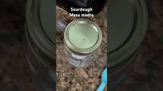 Masa madre desde cero masamadre sourdough desdecero viralvideo video viralshort viralvideos [upl. by March]