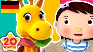 Lustige Tiere Und noch viele weitere Kinderlieder  Little Baby Bum Junior Deutsch [upl. by Matrona]