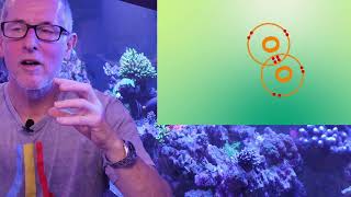 Ozone in a reef tank [upl. by Anella]