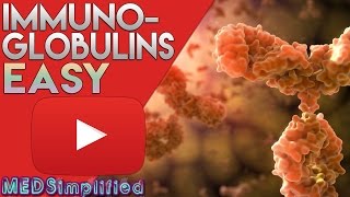 Immunoglobulins Structure and Function Antibody Structure Types and Function [upl. by Alicsirp898]