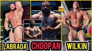 Hadi Choopan Looks INSANE  Hunter Labrada At His BEST  Brett Wilkin PEELED  MORE [upl. by Tihom]