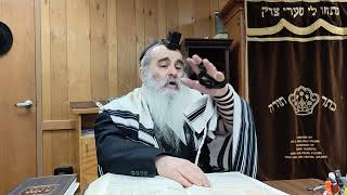 Is there a chiyuv to wash for hamotzi by the Purim seuda  Daily Halachah Shiur [upl. by Attolrac]