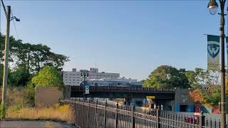 AMTRAK 355  Detroit Station 19 Sep 24 [upl. by Inihor]