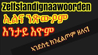 Nederland  Tigrigna  ሓኤ 19 [upl. by Anitnahs66]