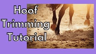 How to trim the bars on a horses hoof [upl. by Nahtal]