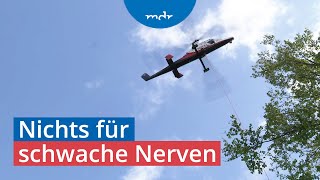 Hilfe von oben Hubschrauber transportiert kränkelnde Bäume ab  MDR SACHSENSPIEGEL  MDR [upl. by Eidna784]